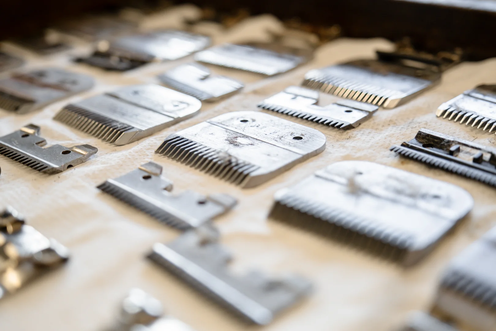 Lames de tondeuses affûtées dans l'atelier